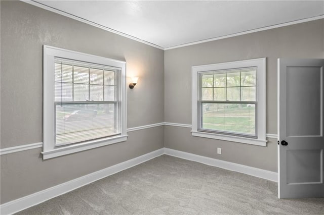 5547 Rockhill Rd, Kansas City, MO 64110 - carpeted spare room with baseboards and ornamental molding