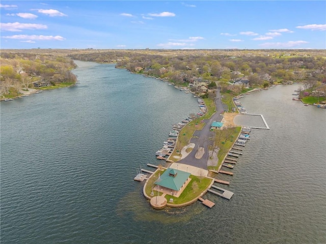 10517 NW 79th Pl, Weatherby Lake, MO 64152 - photo 70