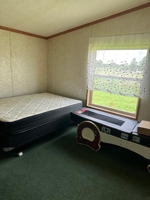 4323 NW County Road 17402nd St, Adrian, MO 64720 - bedroom featuring vaulted ceiling, ornamental molding, carpet, and a textured wall