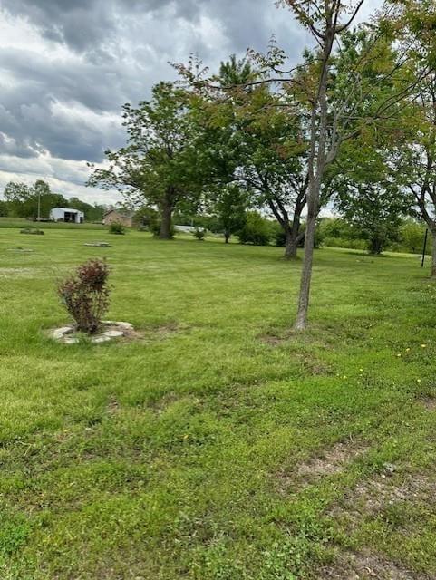 4323 NW County Road 17402nd St, Adrian, MO 64720 - view of grassy yard