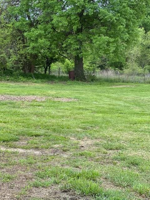 4323 NW County Road 17402nd St, Adrian, MO 64720 - view of yard