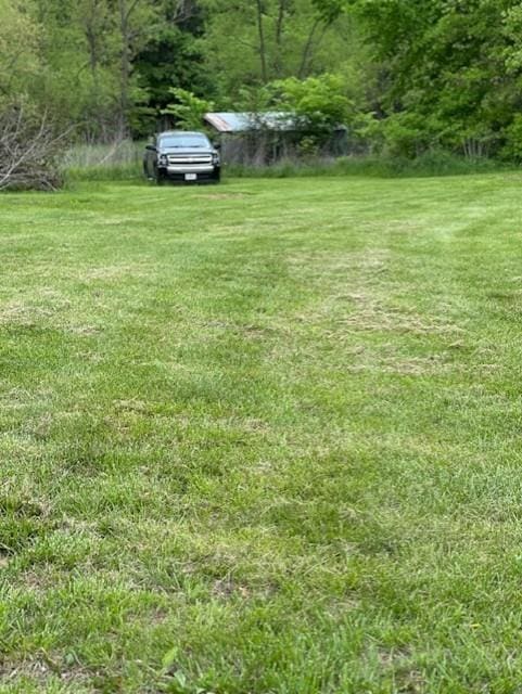 4323 NW County Road 17402nd St, Adrian, MO 64720 - view of green lawn