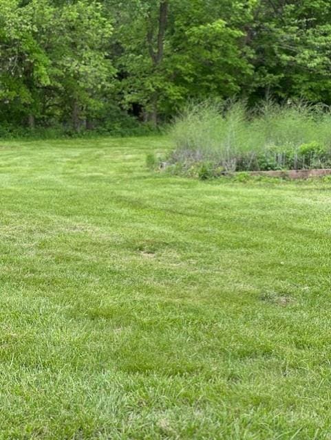 4323 NW County Road 17402nd St, Adrian, MO 64720 - view of grassy yard