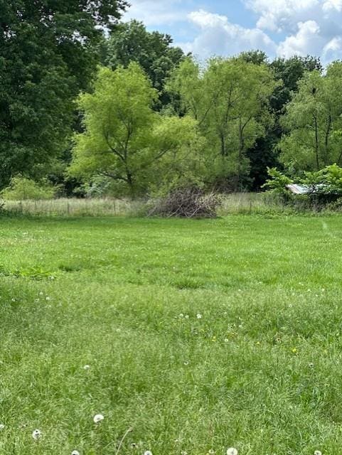 4323 NW County Road 17402nd St, Adrian, MO 64720 - view of yard