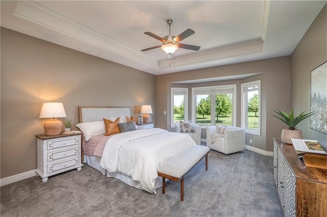18670 W 248th St, Paola, KS 66071 - bedroom featuring a raised ceiling, carpet, baseboards, and crown molding