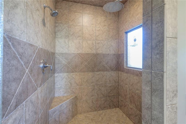 18670 W 248th St, Paola, KS 66071 - full bathroom featuring tiled shower