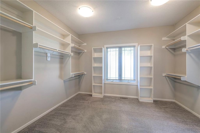 18670 W 248th St, Paola, KS 66071 - walk in closet featuring carpet