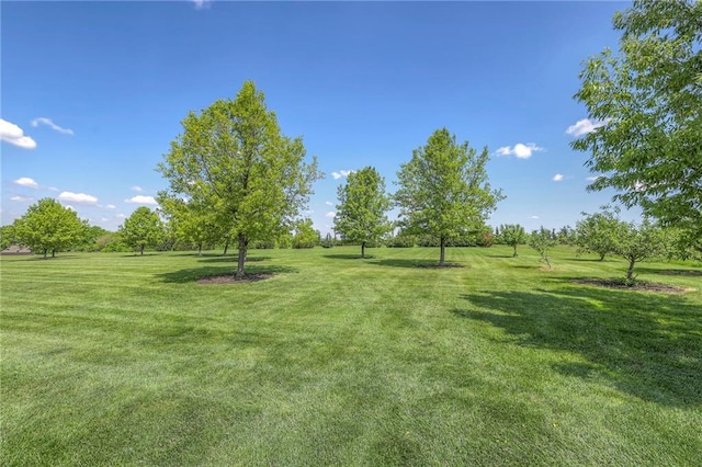18670 W 248th St, Paola, KS 66071 - view of green lawn