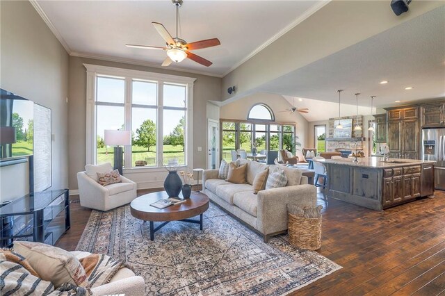18670 W 248th St, Paola, KS 66071 - living area with a ceiling fan, dark wood-style floors, and crown molding