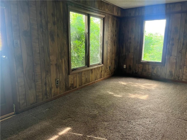 empty room with wood walls, carpet, and a healthy amount of sunlight