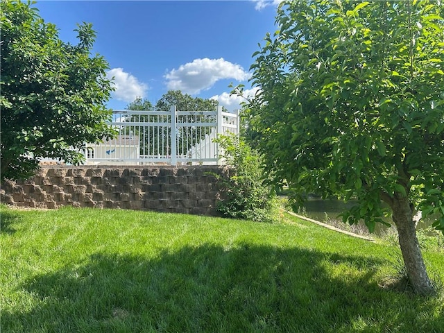 2317 Rhonda Rd, Excelsior Springs, MO 64024 - view of yard