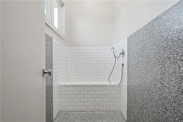 10712 W 165th St, Overland Park, KS 66221 - bathroom with a shower stall