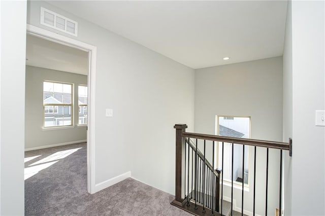 18256 W 166th St, Olathe, KS 66062 - corridor with an upstairs landing and carpet flooring