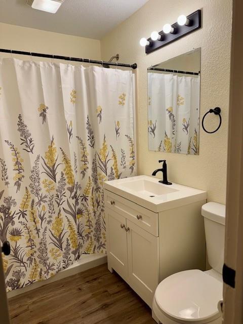 502 W Broadway St, Higginsville, MO 64037 - bathroom with wood finished floors, toilet, vanity, and curtained shower