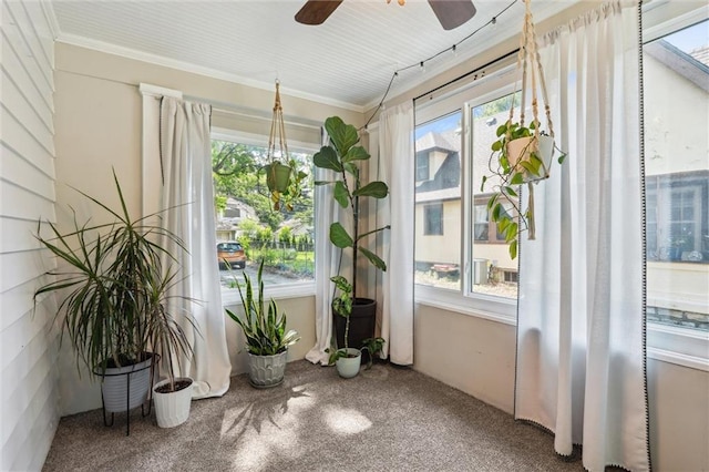 7227 Jefferson St, Kansas City, MO 64114 - sunroom featuring healthy amount of natural light