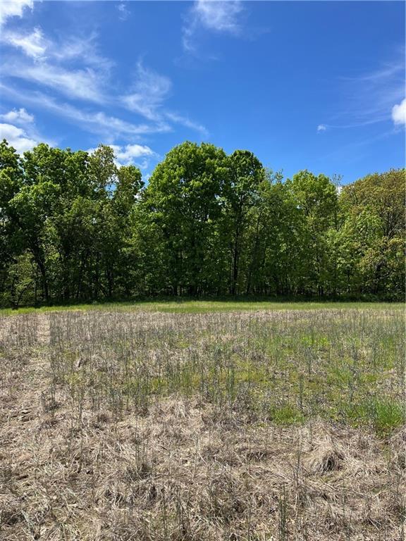 TOBEDETERMINED SE 371st Rd, Leeton, MO 64761