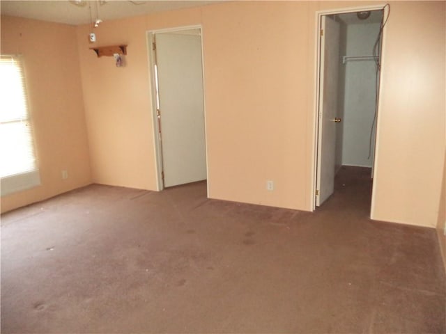 unfurnished bedroom with a walk in closet, carpet flooring, and a closet