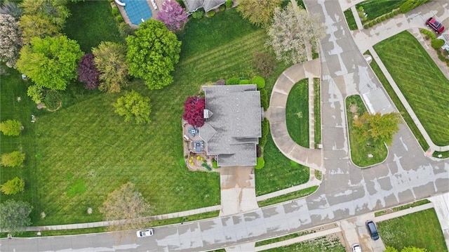 bird's eye view