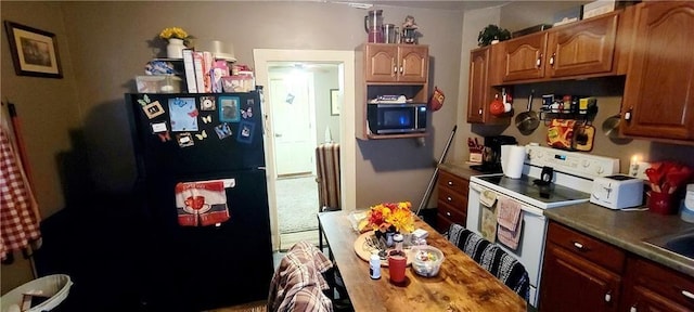 124 W 3rd Ave, Garnett, KS 66032 - kitchen featuring stainless steel microwave, white range with electric stovetop, and freestanding refrigerator