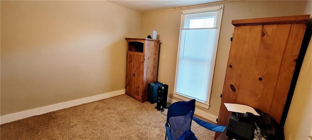 124 W 3rd Ave, Garnett, KS 66032 - interior space featuring baseboards and carpet flooring
