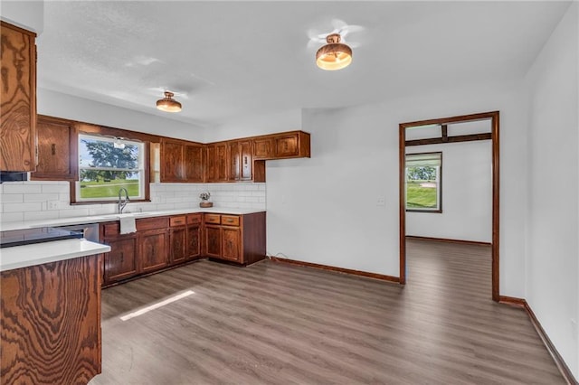 kitchen featuring wood finished floors, healthy amount of natural light, and tasteful backsplash