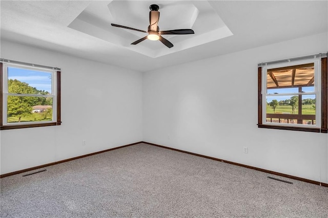 carpeted spare room featuring healthy amount of natural light, baseboards, and a raised ceiling