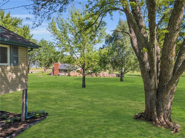 view of green lawn