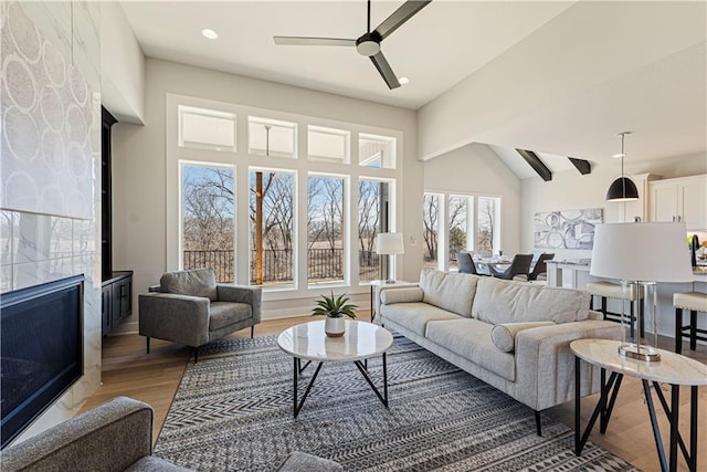 living area featuring lofted ceiling, wood finished floors, and ceiling fan