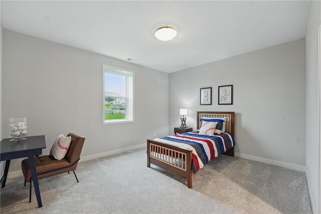 1320 NW 106th Ter, Kansas City, MO 64155 - photo 47
