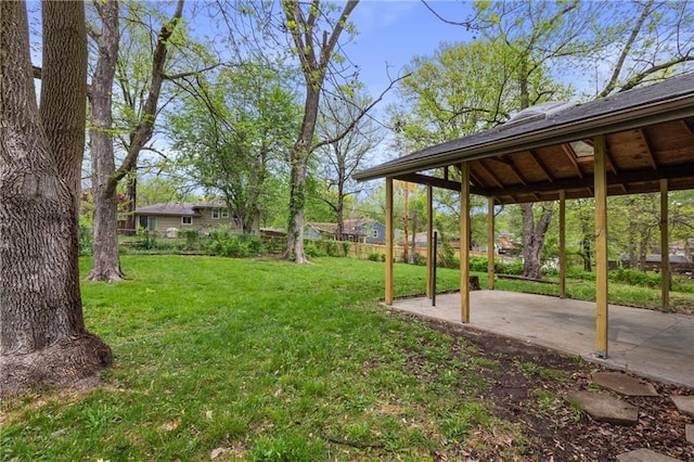 view of yard featuring a patio area