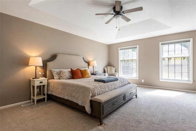 28274 W 311th St, Paola, KS 66071 - bedroom featuring a tray ceiling, carpet floors, and ceiling fan