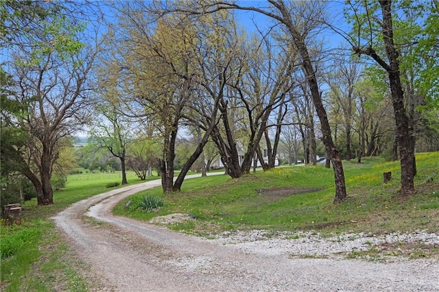 28274 W 311th St, Paola, KS 66071 - view of dirt / gravel road
