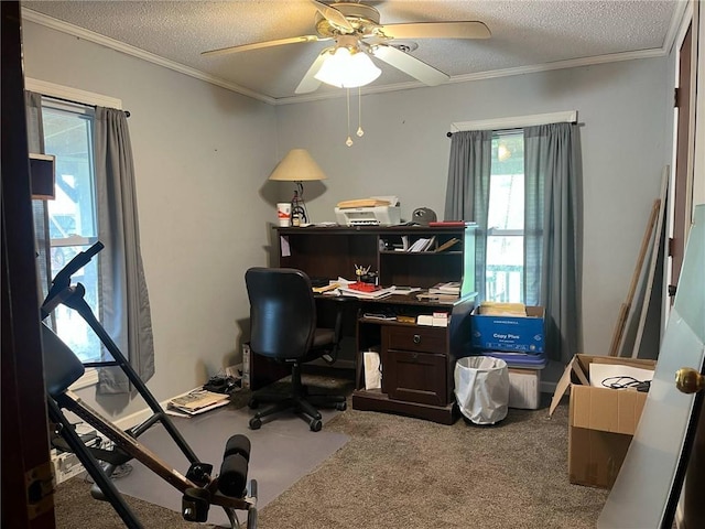 office space with a textured ceiling, ceiling fan, plenty of natural light, and carpet