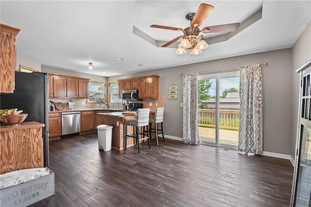 12200 E 214th Ter, Peculiar, MO 64078 - kitchen featuring stainless steel appliances, plenty of natural light, a peninsula, and ceiling fan