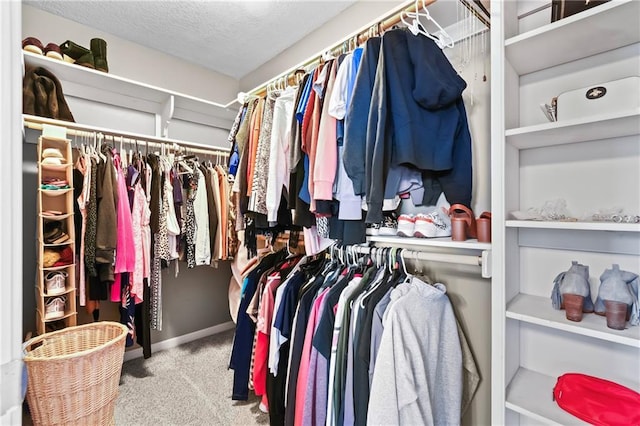 12200 E 214th Ter, Peculiar, MO 64078 - walk in closet with carpet
