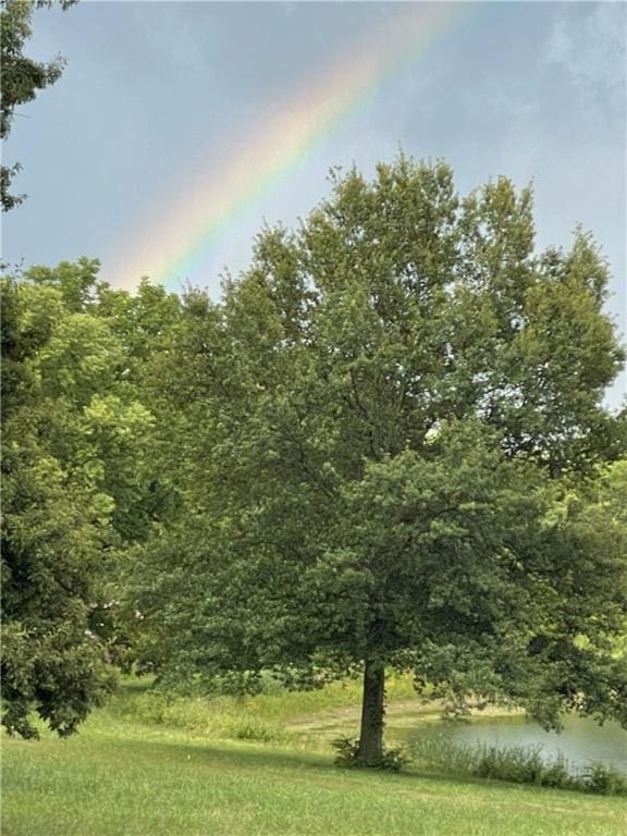 8725 Nebo Hills Rd, Liberty, MO 64068 - view of landscape