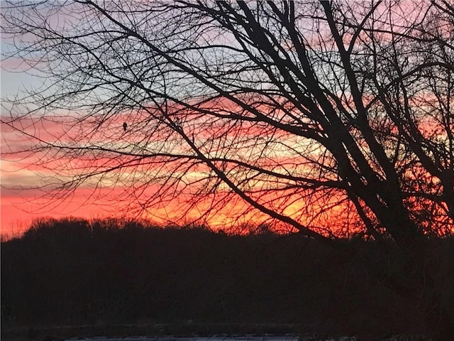 8725 Nebo Hills Rd, Liberty, MO 64068 - view of nature at dusk