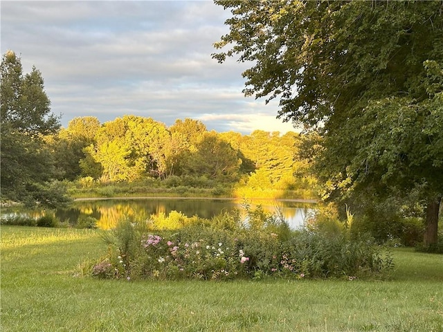 8725 Nebo Hills Rd, Liberty, MO 64068 - property view of water featuring a view of trees