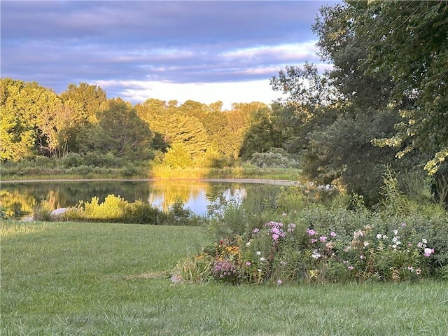 8725 Nebo Hills Rd, Liberty, MO 64068 - view of water feature with a wooded view