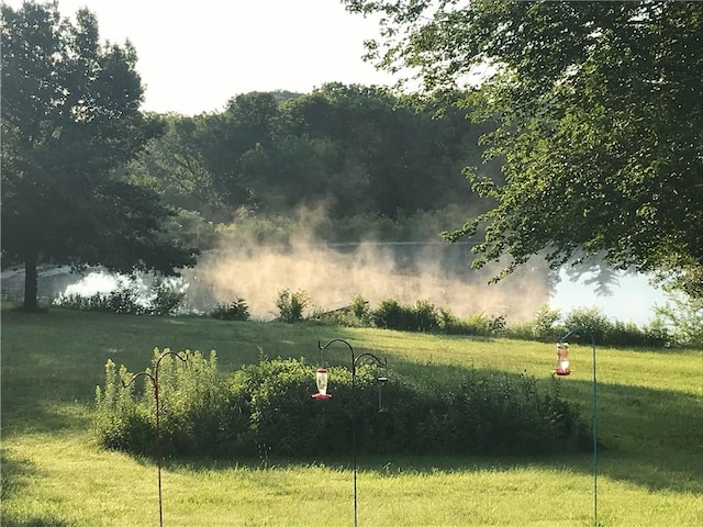 8725 Nebo Hills Rd, Liberty, MO 64068 - view of yard