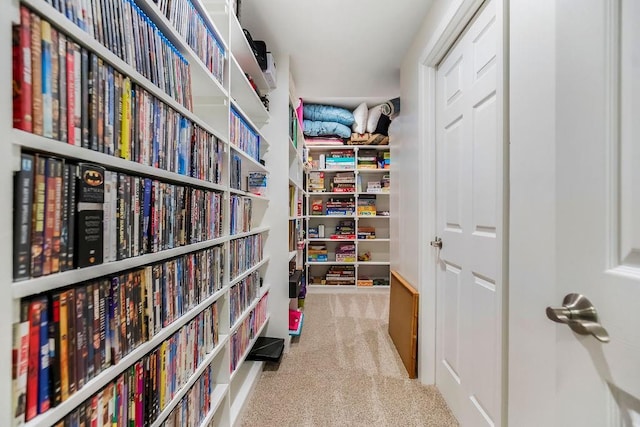 10863 S Cedar Niles Cir, Olathe, KS 66061 - hall with carpet flooring