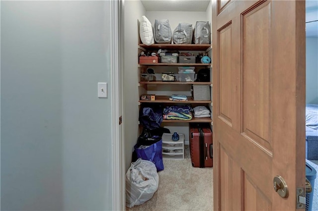 1400 SW 8th Ter, Lees Summit, MO 64081 - view of storage