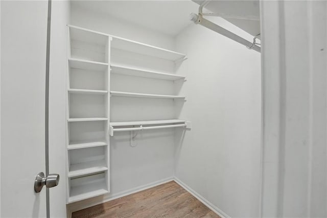 3945 SW Batten Dr, Lees Summit, MO 64082 - walk in closet with wood finished floors