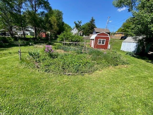 view of yard with an outbuilding and a storage unit