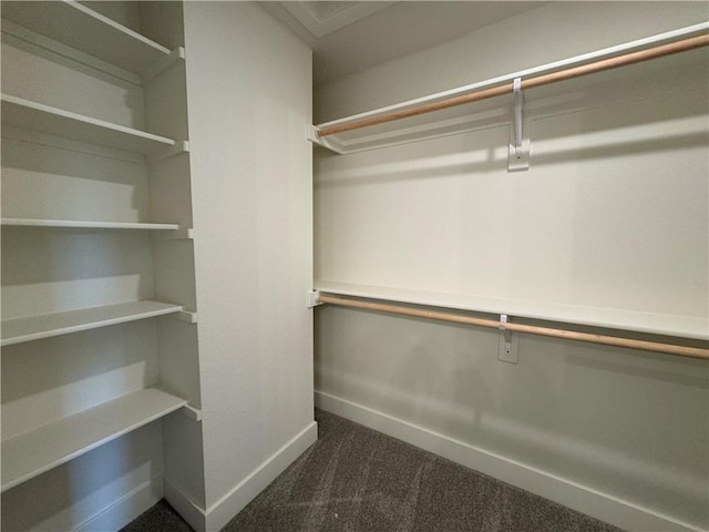 walk in closet with dark carpet