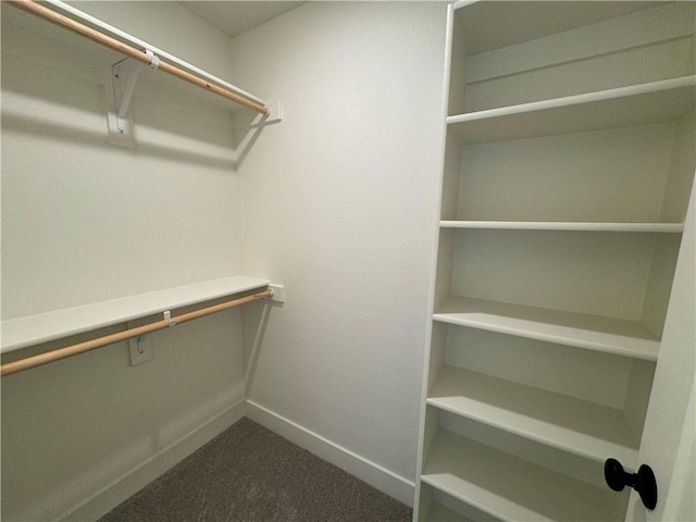 walk in closet with dark colored carpet