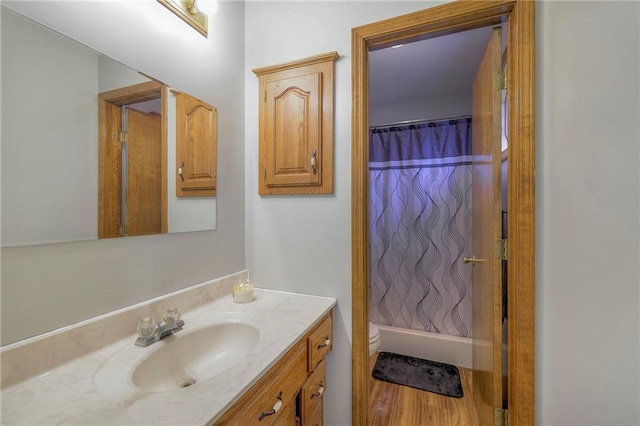 12448 NW Blackwood Dr, Adrian, MO 64720 - bathroom with toilet, a shower with curtain, and vanity