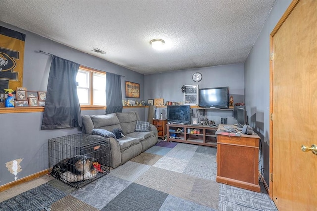 12448 NW Blackwood Dr, Adrian, MO 64720 - living room with a textured ceiling, baseboards, and visible vents