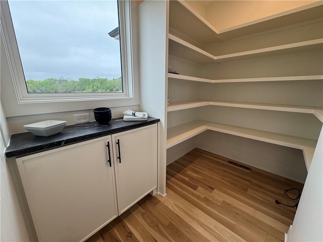 view of pantry