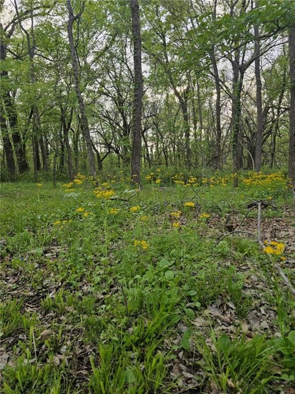 305 E Sugar Lake Dr, Mound City, KS 66055